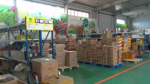 奇台县政协视察电子商务工作，推动服务升级赋能县域发展